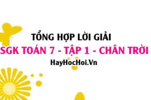 Giải Bài tập Toán 7 tập 1 SGK Chân trời sáng tạo